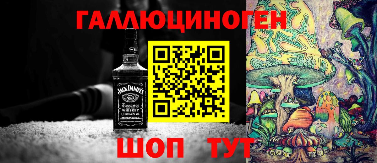 Псилоцибиновые грибы Psilocybine cubensis Рузаевка