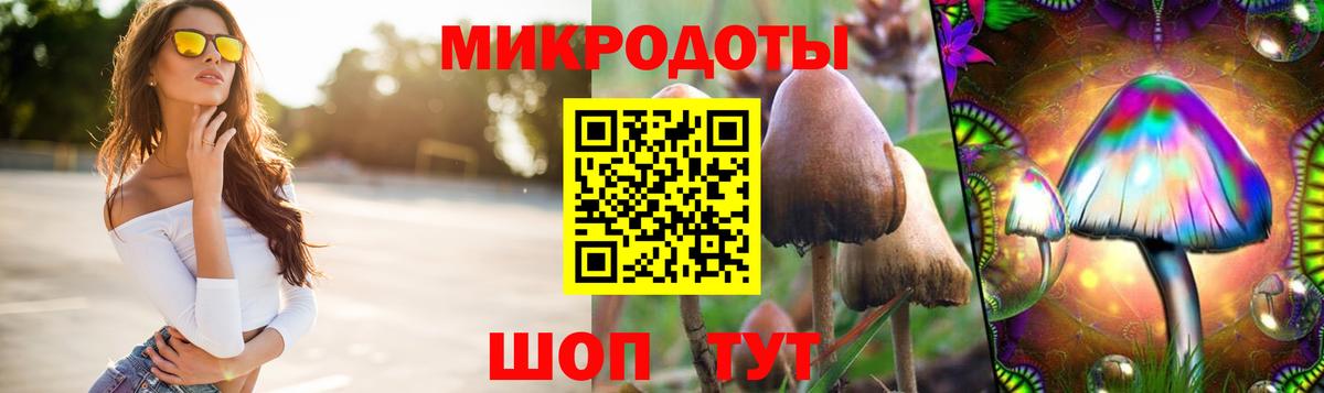 Рузаевка  где найти наркотики  Галлюциногенные грибы мухоморы  Вход с VPN  Галлюциногенные грибы мухоморы 